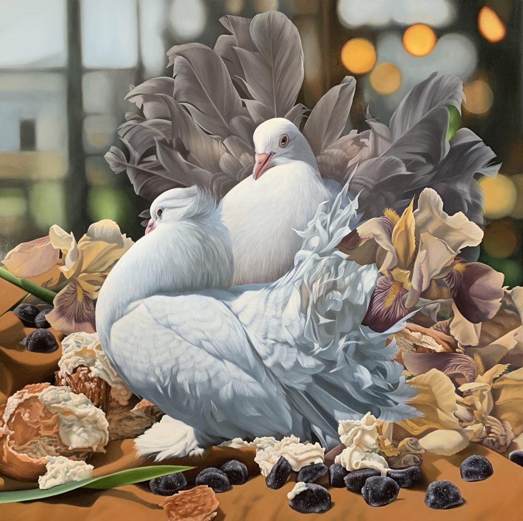 Fancy pigeons with bearded iris, cream puffs and melatonin